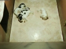 Naissance de chiots